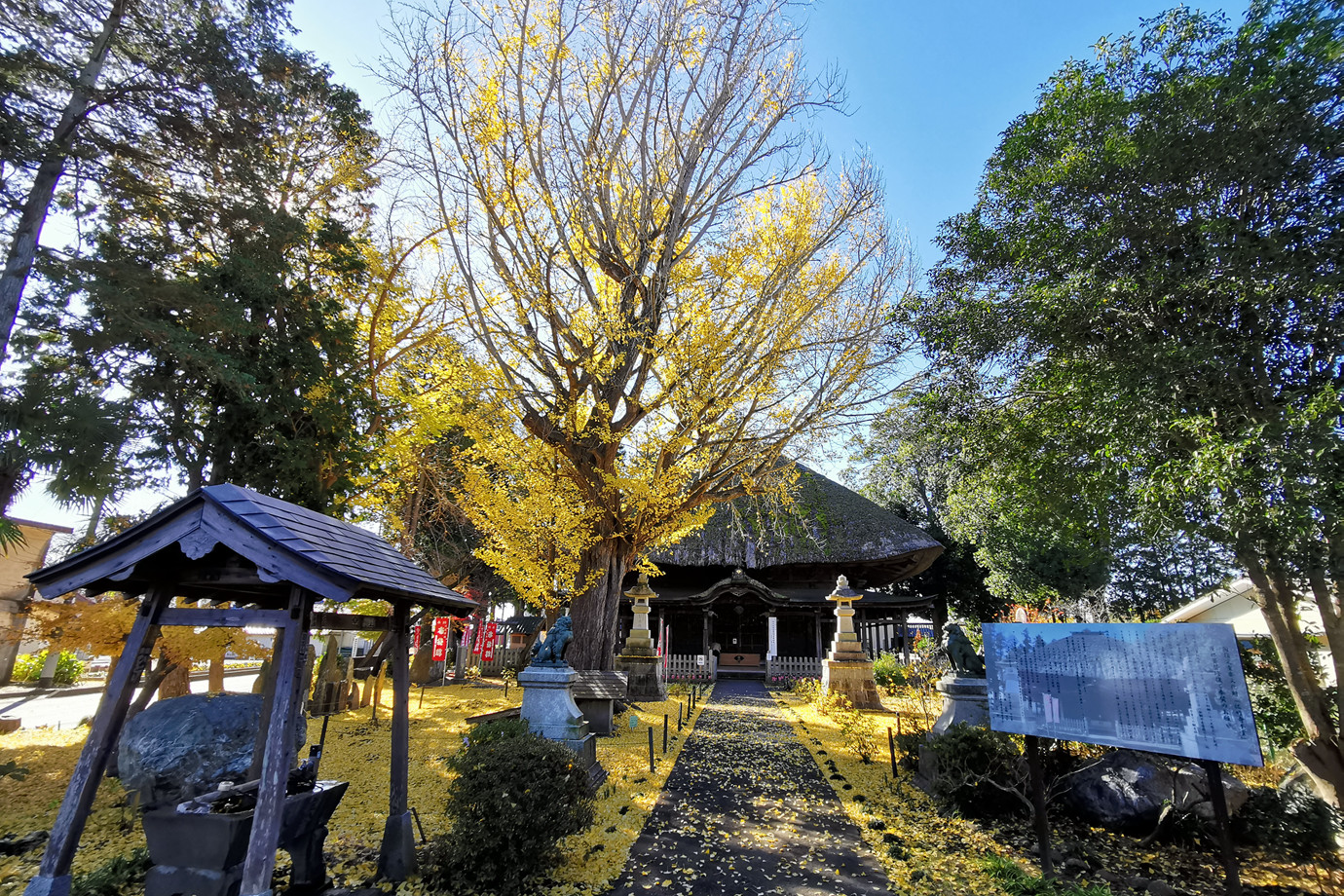 坂東三十三所-妙福山佐竹寺